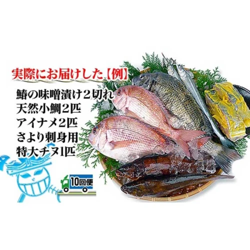 定期便10回】創業100年の魚屋さんが選び抜いた旨い鮮魚直送便〜 | 香川