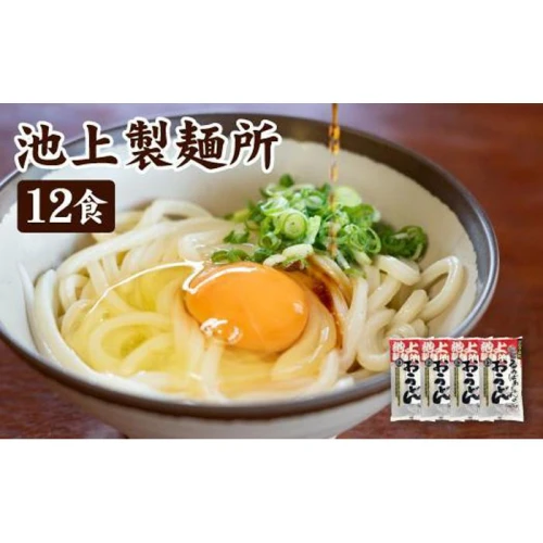 池上製麺所るみばあちゃん監修！讃岐生うどん12食入（鎌田醤油だし醤油