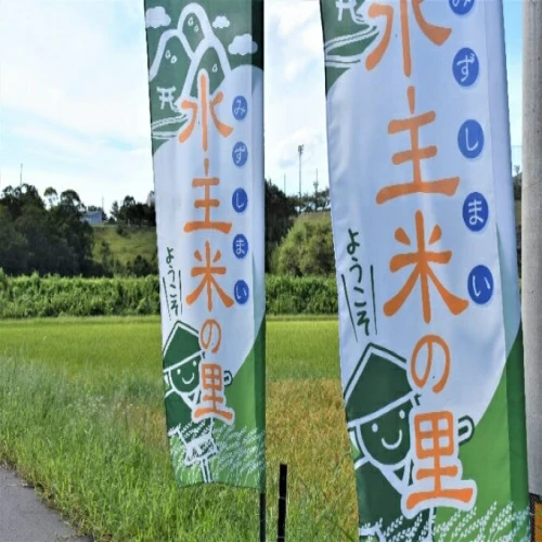 ふるさと納税 倭迹々日百襲姫命を祀る水主神社のご祈祷米【令和5年新米