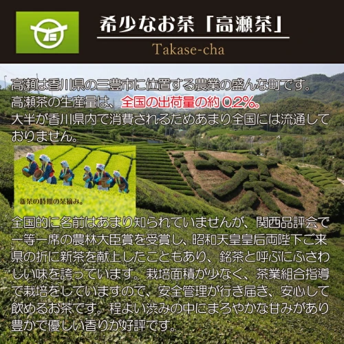 希少なお茶【高瀬茶】産地直送 煎茶ティーバッグ（緑茶5g×50P）×2袋
