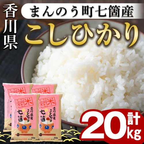 令和5年産＞まんのう町七箇産 コシヒカリ(20kg)国産 お米 こしひかり