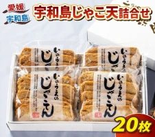 訳あり 不揃い じゃこ天 40枚 中村かまぼこ店 はらんぼ すり身 練り物