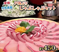 うわじま 手造り 身てんぷら 15枚 薬師神かまぼこ 身天 てんぷら 小魚