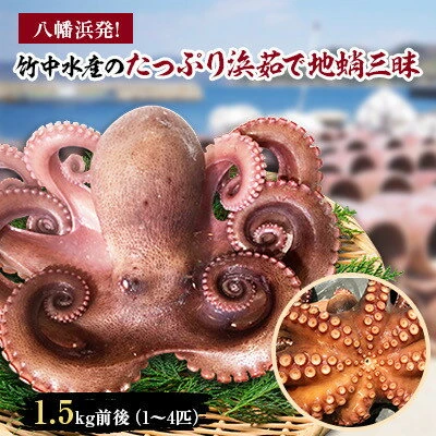 八幡浜発!竹中水産のたっぷり「浜茹で地蛸」三昧!1.5kg前後【F22-189