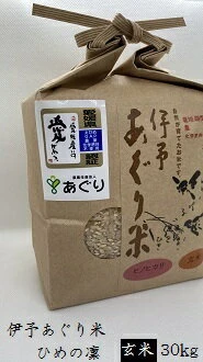 ☆令和5年産☆伊予あぐり米「ひめの凜」（玄米 30 kg）