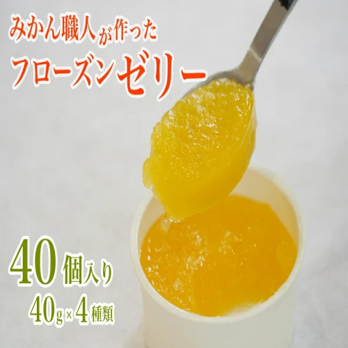 フローズン ゼリー 柑橘 河内晩柑 しらぬい はるか 夢オレンジ 40g 10個 ずつ 4種 有名 みかん職人 武田屋 ジュレ アイス フルーツ 果汁  計40個