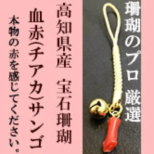 小さい血赤珊瑚根付 本物の宝石(サンゴ)高知県産血赤珊瑚の赤を見てみたいという方に！