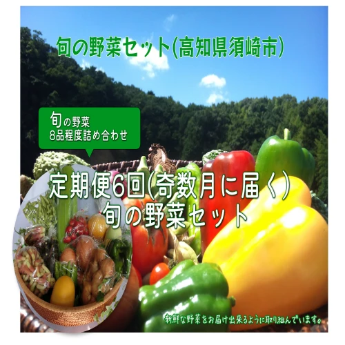 定期便 6回 野菜8品程度 旬の野菜セット きゅうりトマト なす ピーマン