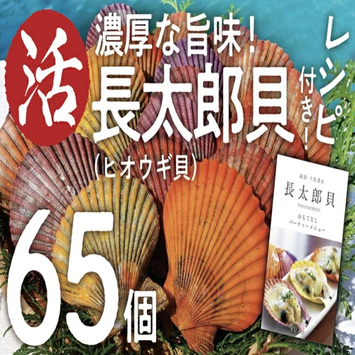 生け簀でお届けヒオウギ貝65個セット エアポンプ付（ホタテの仲間