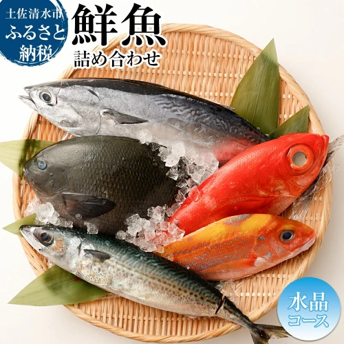 おまかせ！季節の鮮魚 お楽しみセット（2万円水晶コース） 鮮魚ボックス 天然魚 食べ比べ 魚介類 海鮮料理鮮魚 お楽しみ おまかせ 新鮮 魚 季節の魚  刺し身 お刺身 煮付け 高知 土佐清水市【R01215】