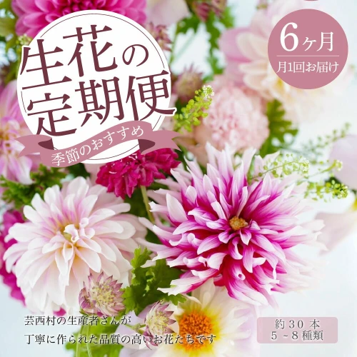 6ヵ月定期便 》芸西村産季節の花束 フラワーアレンジメント