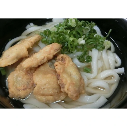 ふるさと納税｜ 博多ごぼう天うどん 12食セット うどん 麺類スープ付