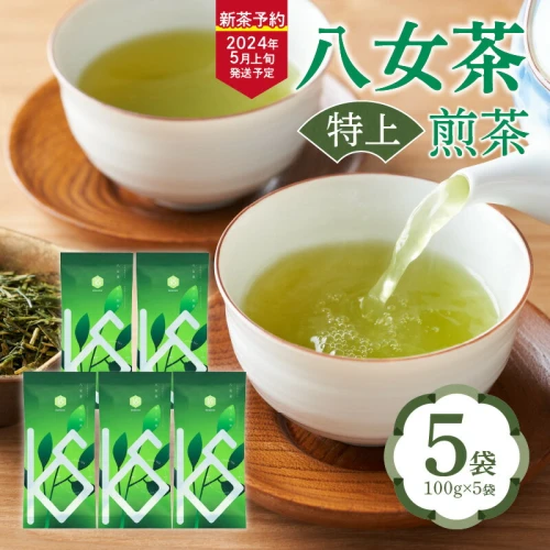 2024年新茶予約】八女茶 特上煎茶100g×5袋【2024年5月上旬発送予定