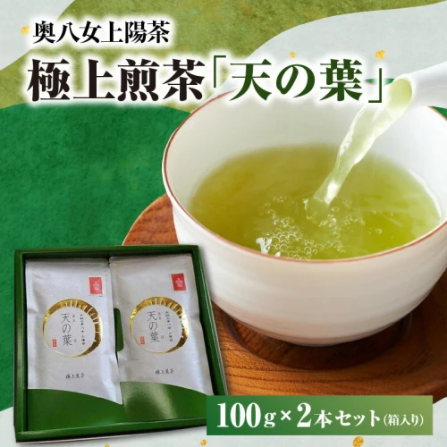 奥八女上陽茶 極上煎茶「天の葉」100g×2本セット箱