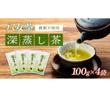 お茶の光玉園】八女煎茶 100g×5本セット