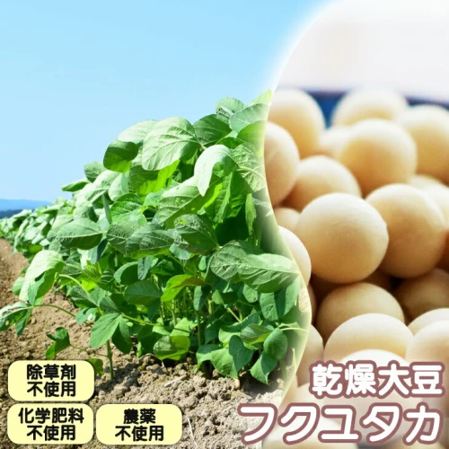 和農BARU 乾燥大豆（フクユタカ）3kg【栽培期間中：化学肥料・農薬