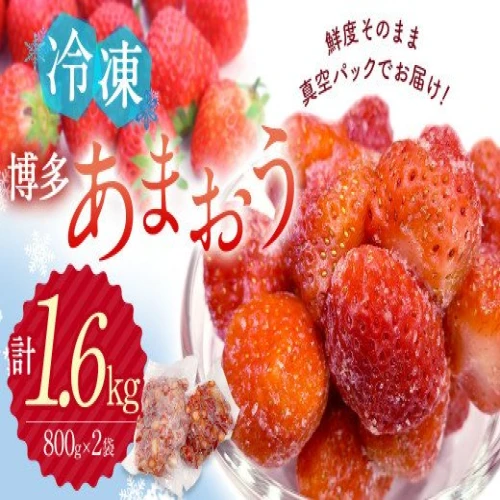 冷凍 博多あまおう 大容量 800g×2 計1.6kg【JAほたるの里】_KA0266