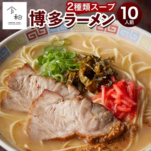 博多ラーメン 10人前 極細 ストレート麺 半生麺 2種類スープ とんこつ