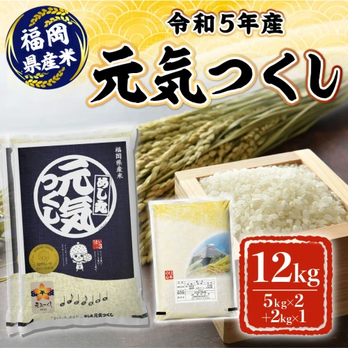 米 12kg 令和5年産 元気つくし 福岡県産 お米 【朝倉市】 お届け