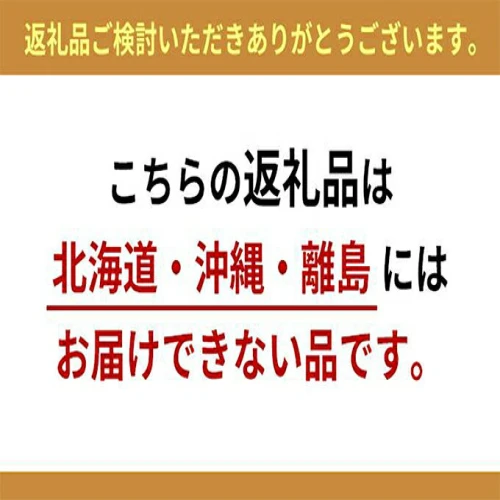 フェイジョアの鉢植え（オリーブ柄テラコッタ鉢30cm）※配送不可：北海道・沖縄・離島 インテリア 観葉植物 緑 癒し トロピカル 果樹 南国 植物  エキゾチック 花 果実 寒さ 強い 病害虫 玄関先 庭 店舗