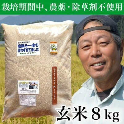 新米・令和5年産】玄米 農薬不使用(栽培期間中) 福岡県芦屋町産