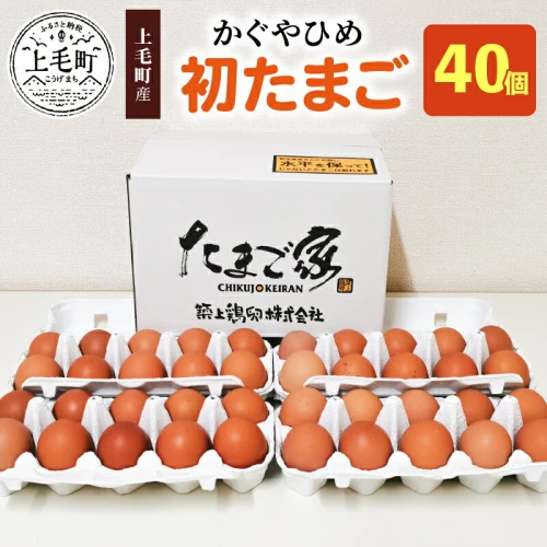 ふるさと納税｜ 卵 40個 かぐやひめ 初たまご 国産 福岡上毛町産 鶏卵