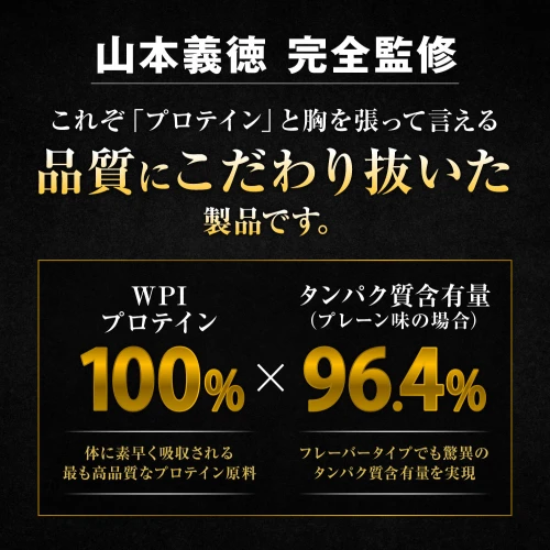 22-06 VALX ホエイプロテイン WPI パーフェクト チョコレート風味 1kg