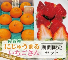 b－183 銀座有名店使用の柚子胡椒（ゆずこしょう）【赤】【辛さ控えめ】1kg