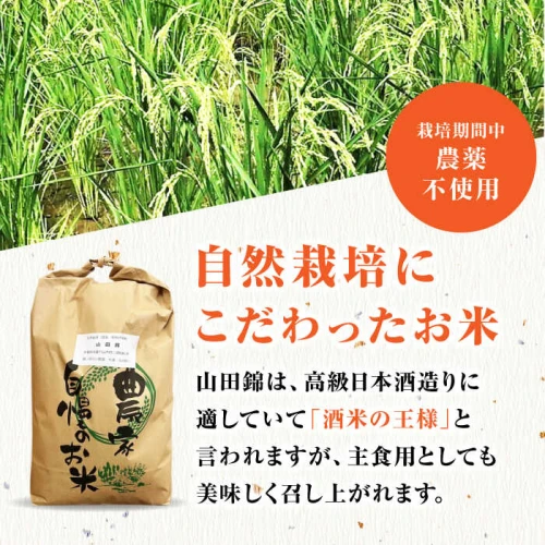 栽培期間中農薬不使用 令和5年産 新米 山田錦 精米（無洗米） 20kg