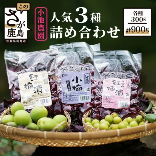 小池農園（小梅の紅梅漬・小梅の天然しそ漬・紅梅漬）300g×3種 合計