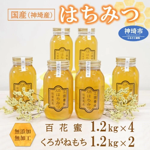 国産　純粋　蜂蜜　はちみつ　1.2kg２本　合計2.4kg