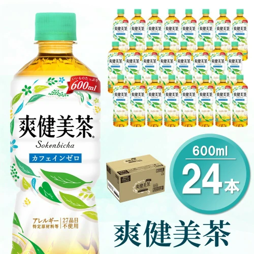 爽健美茶 600mlPET×24本(1ケース)【コカコーラ カフェインゼロ