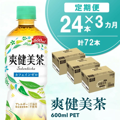 ふるさと納税 佐賀県 基山町 爽健美茶 600mlPET×24本(合計3ケース