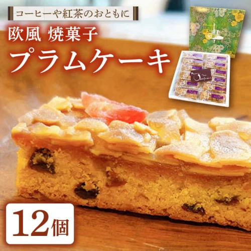 欧風 焼菓子 プラム ケーキ 12個入り 長崎市/お菓子の雲仙堂[LIL015]