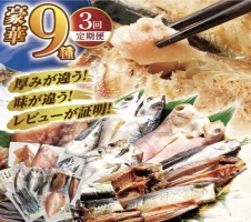 活〆おうごんとらふぐ 鍋約400g 平戸市 / 松永水産 [KAB113] トラフグ