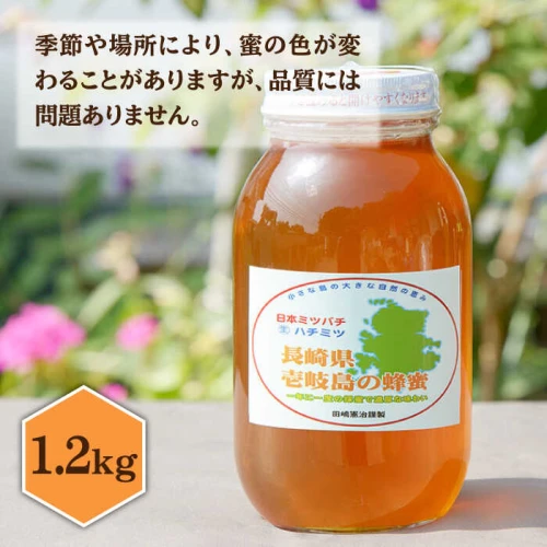 ニホンミツバチ 生蜂蜜 1,200g×1 《壱岐市》【憲ちゃんハチミツ