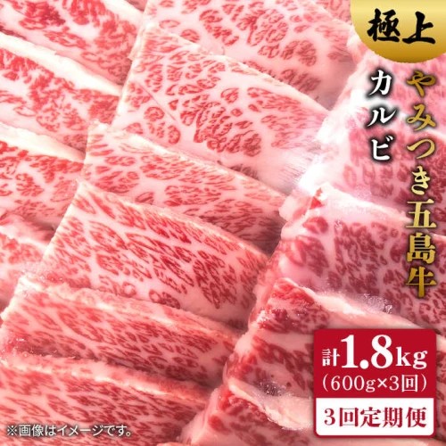 全3回定期便】五島牛 カルビ600g【肉のマルヒサ】 [PCV016]