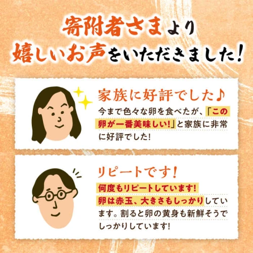 黄身がつかめる最高級の卵】【12回定期便】かきやまの「地養卵」 M