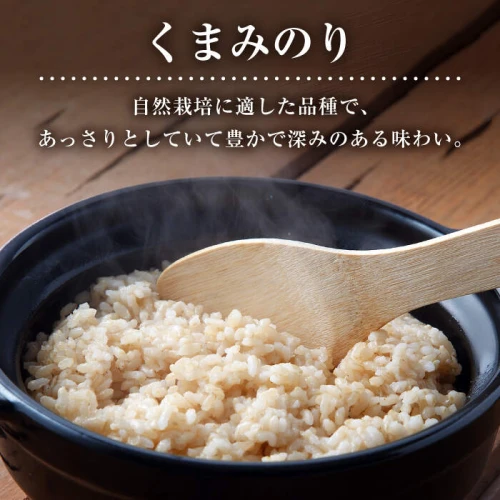 令和5年産 新米 ☆先行予約】【木村式自然栽培】 玄米 くまみのり 20kg