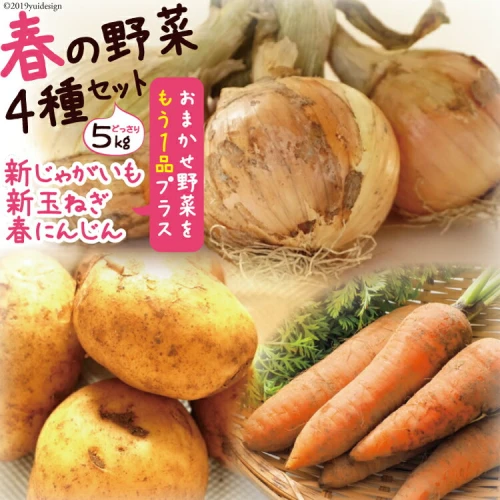 ☆SALE|公式通販| wilddog.mx 新玉ねぎ＆新じゃがセット 野菜3種セット