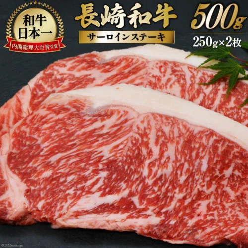 牛肉 長崎和牛 サーロイン ステーキ 250g×2枚 計500g 長崎 和牛 冷凍