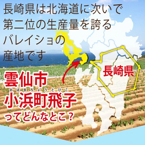先行受付】飛子の馬鈴薯 5kg （ 秋じゃが ） / 長崎県農産品流通合同