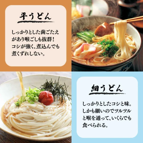 手延べうどん 200g×2種・あごだしスープ 4袋付 / 乾麺 うどん 麺