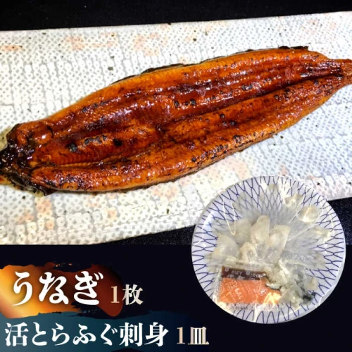 贅を尽くす！】活 とらふぐ 刺身 (1皿) うなぎ 蒲焼き (1枚) 贅沢