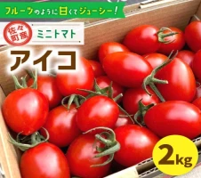 手間いらずで料理上手！】「 寿司の素 」500ml×3本入り（ 割烹秘伝