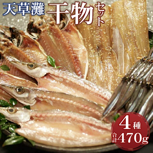 天草灘干物セット 4種 合計470g カマスささ塩干し アジささ塩干し