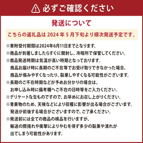 2024年5月下旬発送開始】熊本県産 小玉すいか1玉（1.5kg以上）と肥後