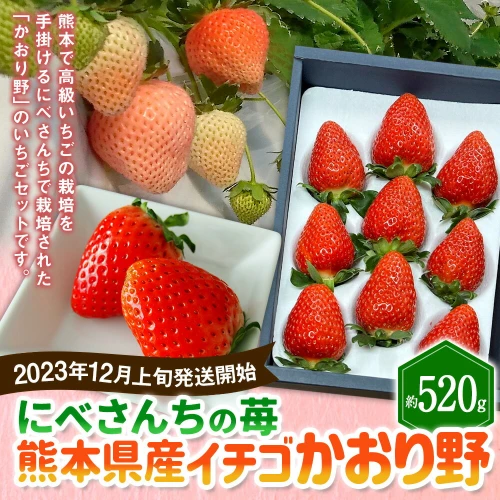 2023年12月上旬発送開始】にべさんちの苺 熊本県産 イチゴ かおり野 約