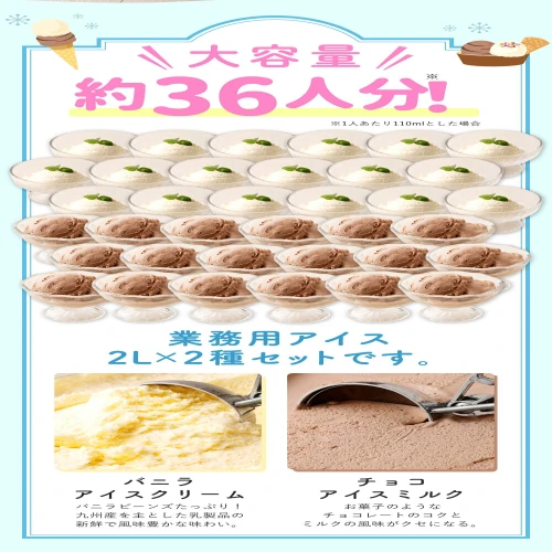 業務用 2Lアイス合計4L 2L×2種類 バニラ チョコ 大容量 アイス アイスクリーム アイスミルクバニラアイス チョコアイス スイーツ おやつ  乳製品 熊本県製造 九州産 国産 冷凍