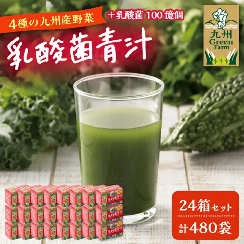 乳酸菌青汁24箱セット 【九州薬品工業 株式会社 】[ZDC002]